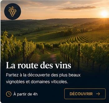 La route des vins — Vignobles et domaines viticoles d'exception, à partir de 4h